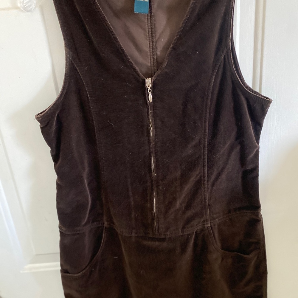 Express Dark Brown Mini Dress